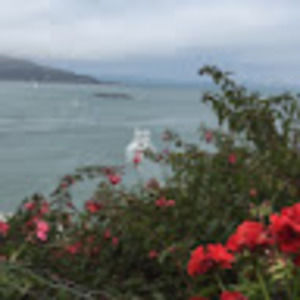 Meet your Posher, Janie